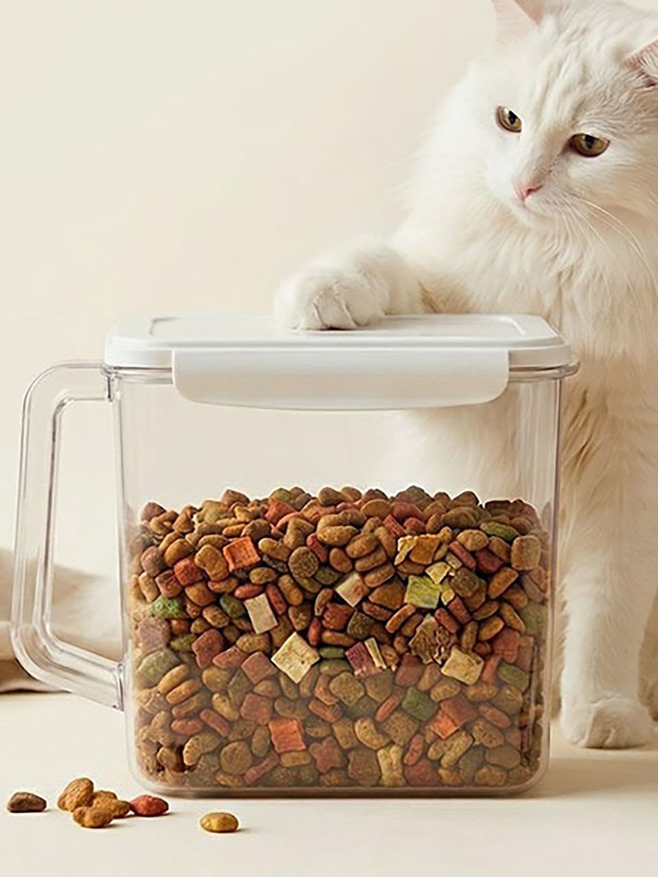 Food Container